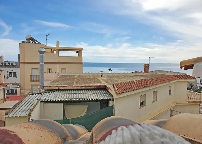 Perros hoteles Turquesa La Carihuela